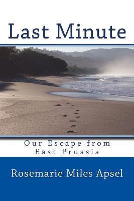 bokomslag Last Minute: Our Escape from East Prussia