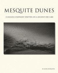 bokomslag Mesquite Dunes: A sinuous symphony written on a ancient dry lake