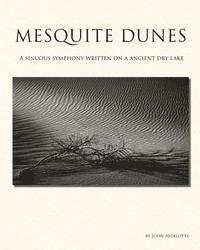 John Aydelotte - Mesquite Dunes: A sinuous symphony written on a ancient dry lake, Häftad