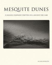 Mesquite Dunes: A sinuous symphony written on a ancient dry lake 1