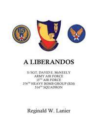 bokomslag A Liberandos: S/Sgt. David E. McNeely, Army Air Force, 15th Air Force, 376th Heavy Bomb Group, 514th Squadron