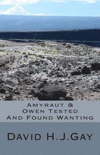 bokomslag Amyraut & Owen Tested: And Found Wanting