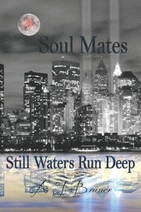 bokomslag Soul Mates