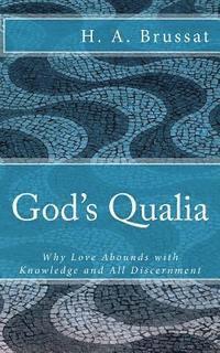 bokomslag God's Qualia: Why Love Grows with Knowledge and All Discernment