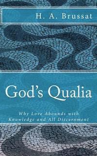H. a. Brussat - God's Qualia: Why Love Grows with Knowledge and All Discernment, Häftad