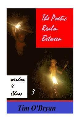 Tim O'Bryan - The Poetic Realm Between Wisdom and Chaos: part 3, Häftad