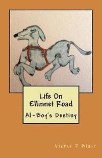 bokomslag Life On Ellinnet Road: Al-Boy's Destiny