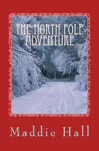 bokomslag The North Pole Adventure: The Evil Father