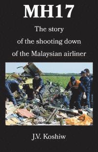 bokomslag Mh17: The story of the shooting down of the Malaysian airliner