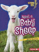 Jennifer Boothroyd - Meet a Baby Sheep, Inbunden