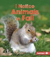 I Notice Animals in Fall 1