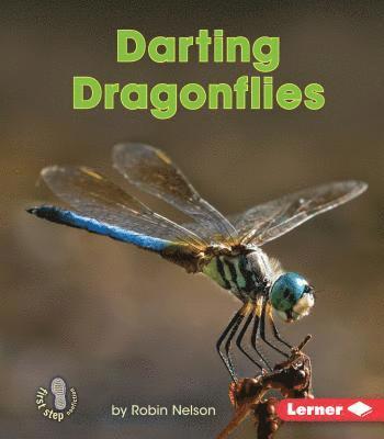 Darting Dragonflies 1