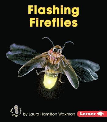 bokomslag Flashing Fireflies