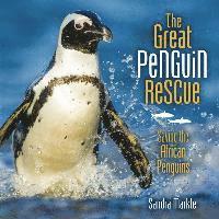 bokomslag The Great Penguin Rescue: Saving the African Penguins