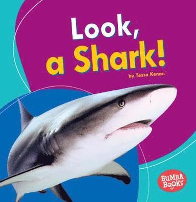 bokomslag Look, a Shark!