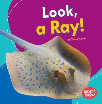 Look, a Ray!