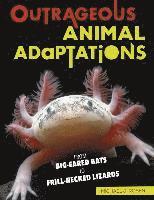 bokomslag Outrageous Animal Adaptations