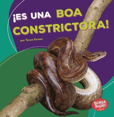 Tessa Kenan - ¡Es Una Boa Constrictora! (It's a Boa Constrictor!), Häftad