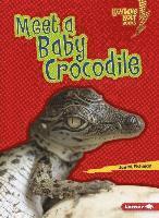 Meet a Baby Crocodile 1