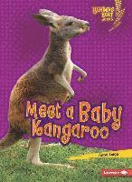 bokomslag Meet a Baby Kangaroo
