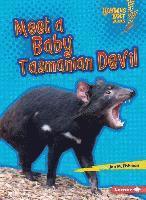 bokomslag Meet a Baby Tasmanian Devil