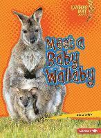 bokomslag Meet a Baby Wallaby