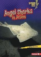 bokomslag Angel Sharks in Action