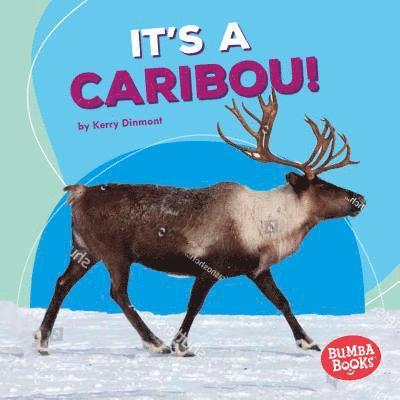 Kerry Dinmont - It's a Caribou!, Inbunden