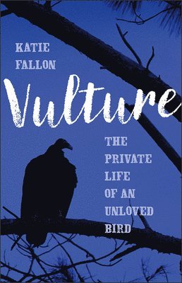 Vulture 1