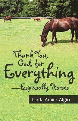 Thank You, God, for Everything-Especially Horses 1