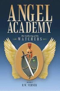 bokomslag Angel Academy
