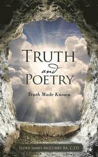 bokomslag Truth and Poetry