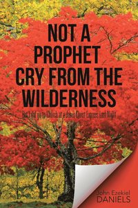 bokomslag Not a Prophet Cry from the Wilderness