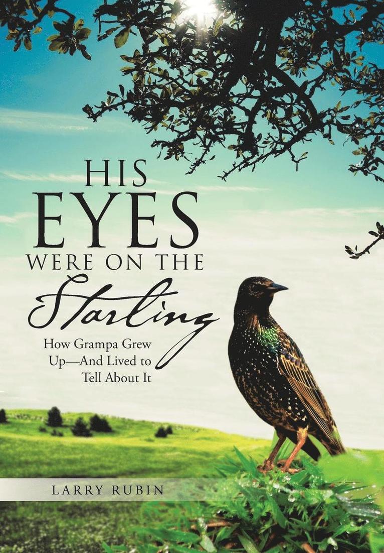 His Eyes Were on the Starling