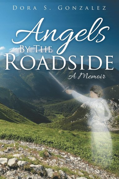 bokomslag Angels By The Roadside