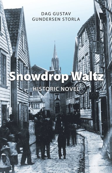 bokomslag Snowdrop Waltz