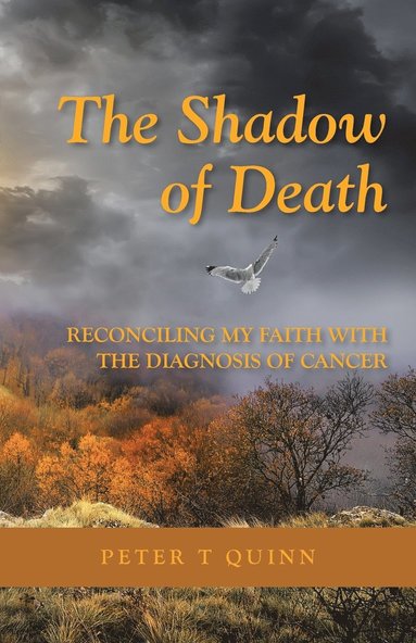 bokomslag The Shadow of Death