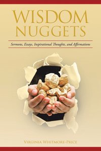 bokomslag Wisdom Nuggets