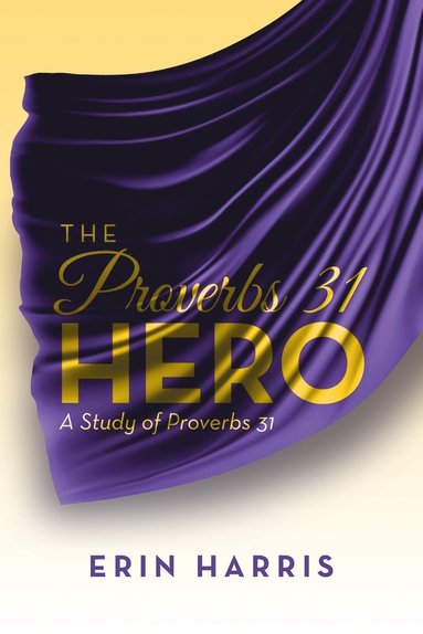 bokomslag Proverbs 31 Hero