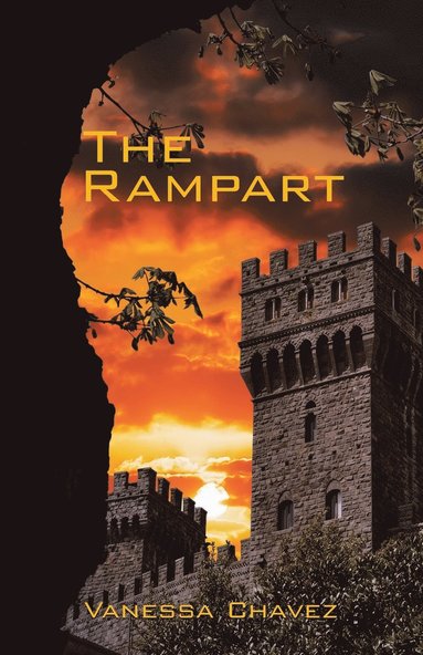 bokomslag Rampart