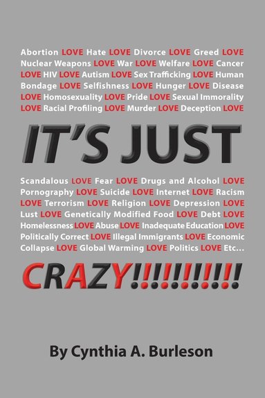 bokomslag It's Just Crazy!