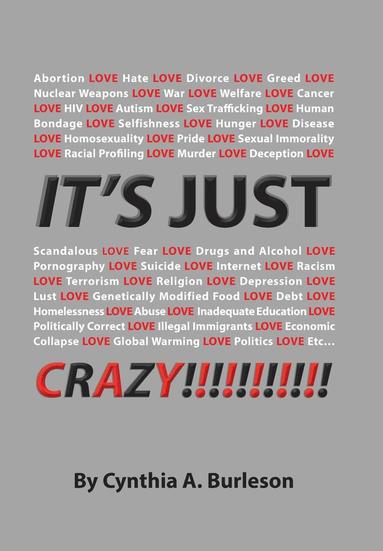 bokomslag It's Just Crazy!
