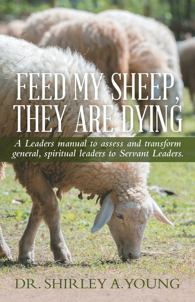 Feed My Sheep, They Are Dying 1