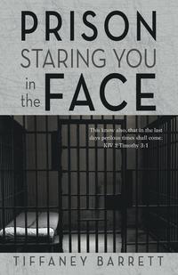 bokomslag Prison Staring You in the Face