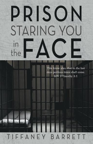 bokomslag Prison Staring You in the Face