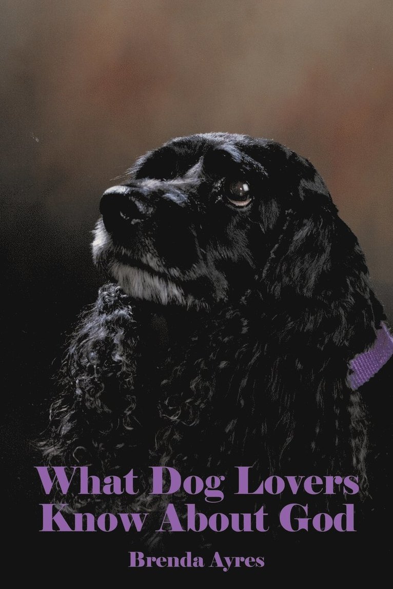 What Dog Lovers Know About God