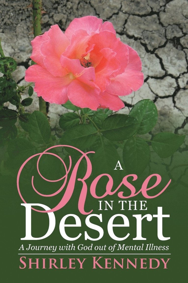 Rose in the Desert