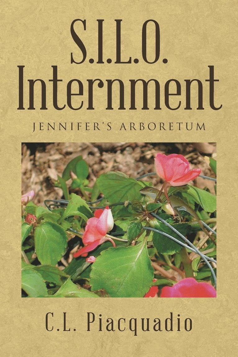 S.I.L.O. Internment 1