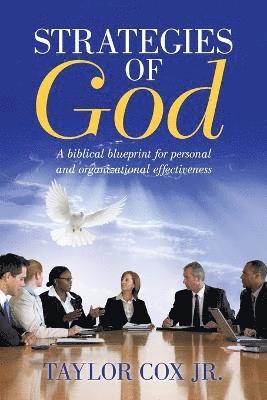 bokomslag Strategies of God