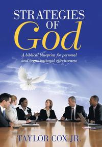 bokomslag Strategies of God